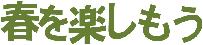 �t���y������